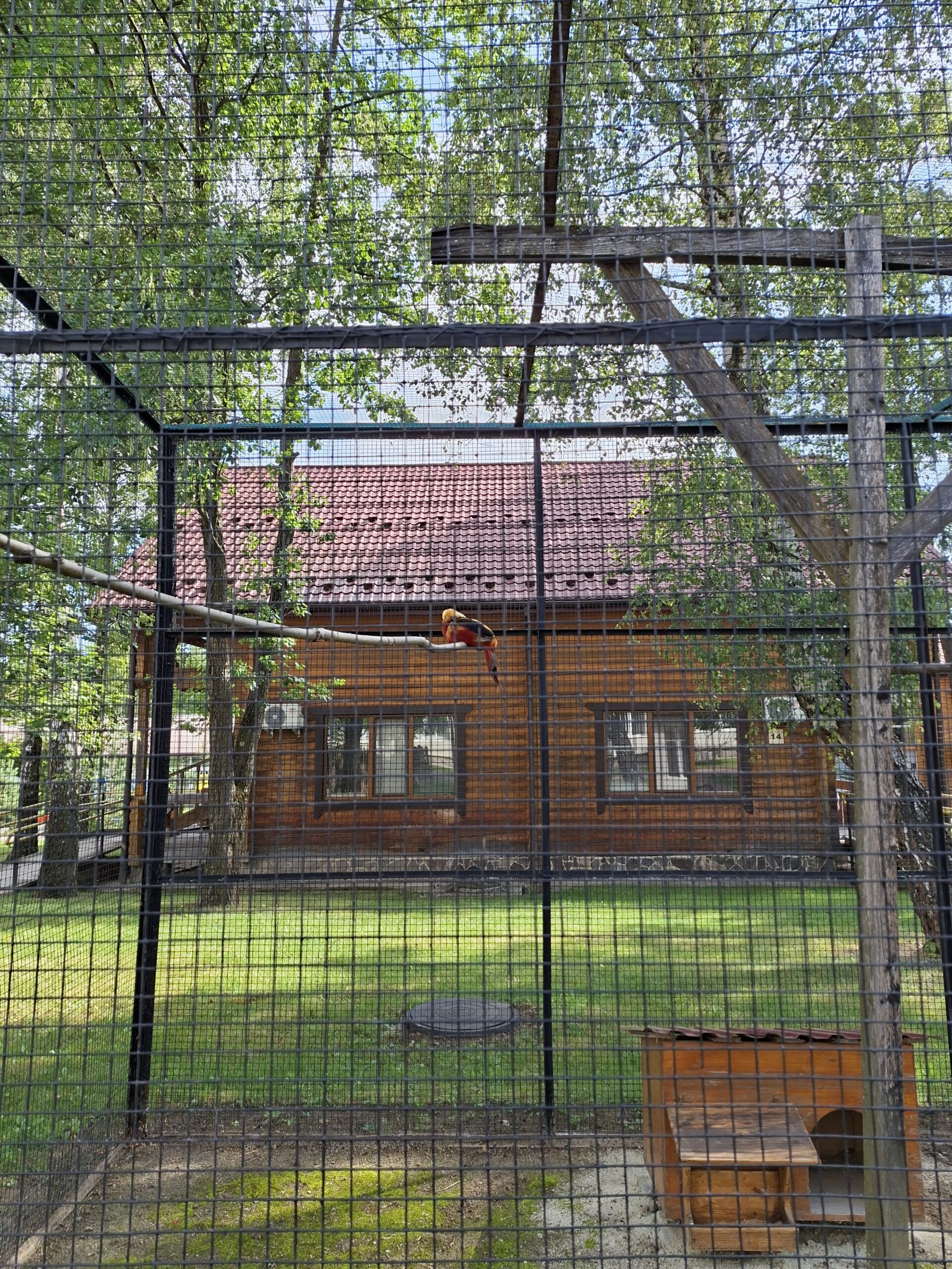Пташиний парк